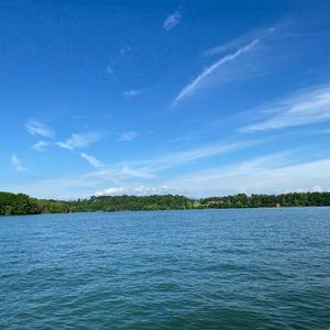 Meet your Posher, Candice